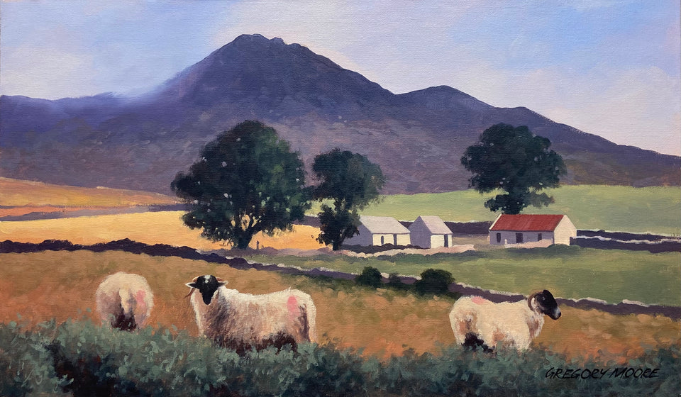 Sheep By The Mournes, Co.Down