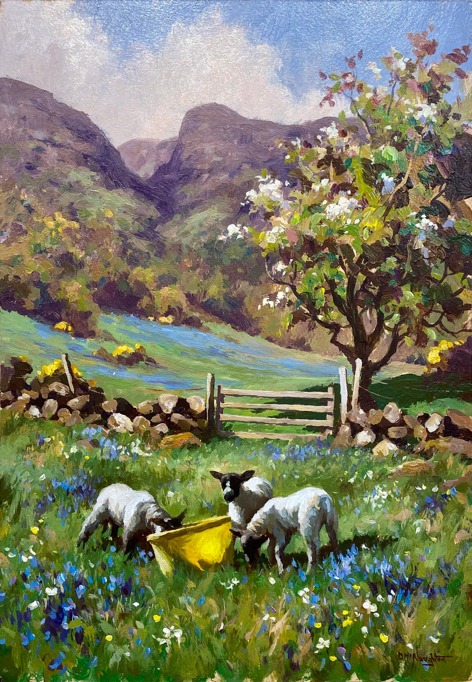 Spring Lambs Amidst The Bluebells