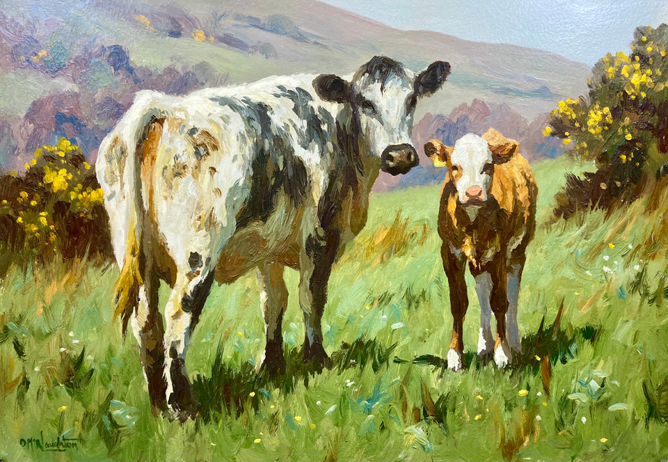 Curious Cow and Calf