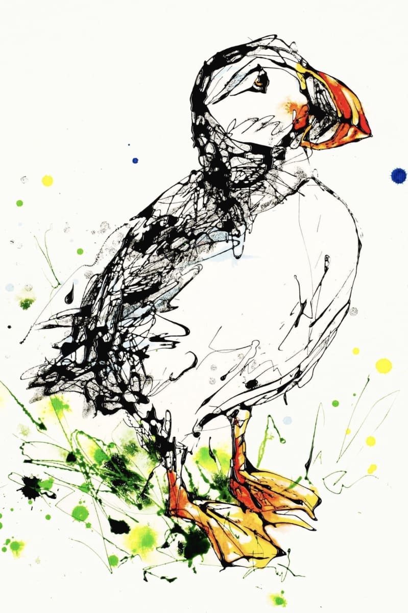 Atlantic Puffin Signed Print