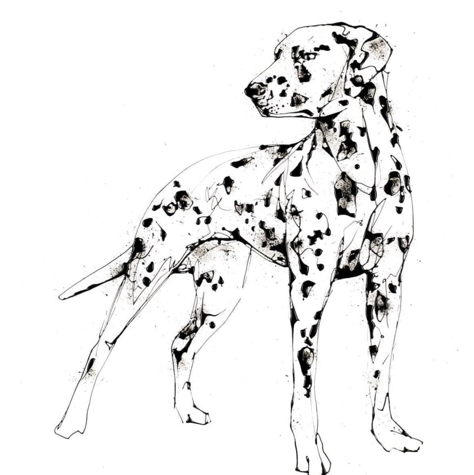 Spots Signed Print