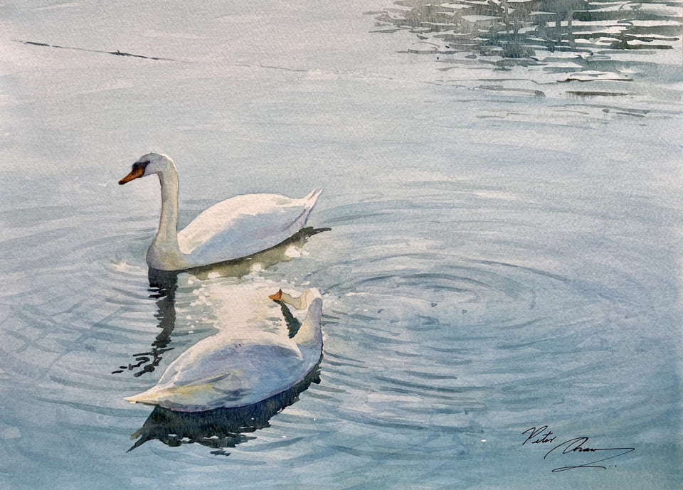 Swans At Cushendun Original Artwork