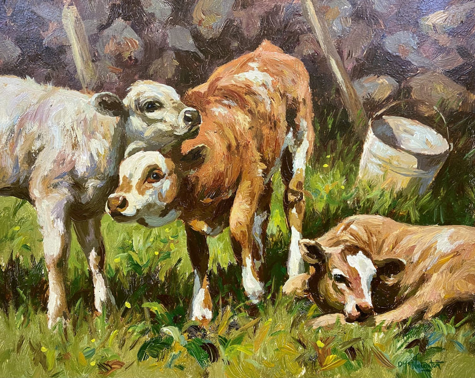 Young Calves Original Artwork