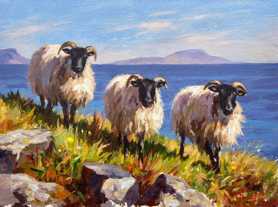 Three Sheep By The Shore