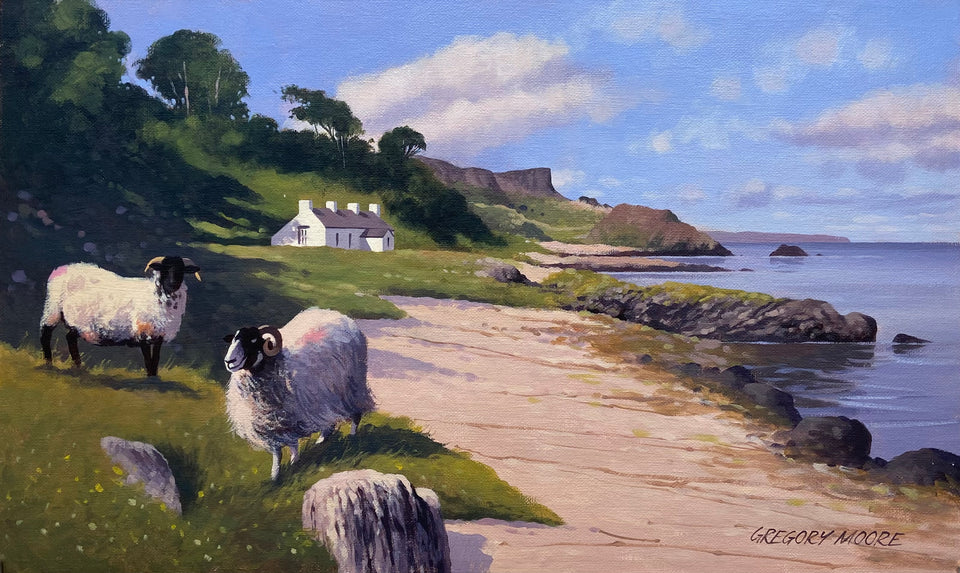 Sheep by Murlough Bay, Co.Antrim