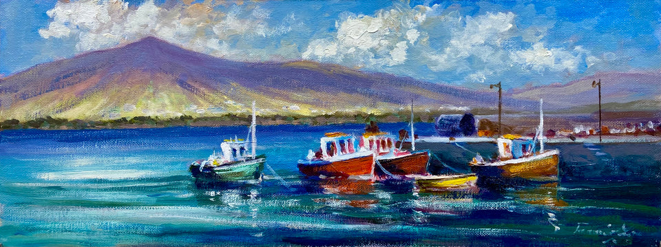 Harboured Boats, Valentia, Co Kerry.