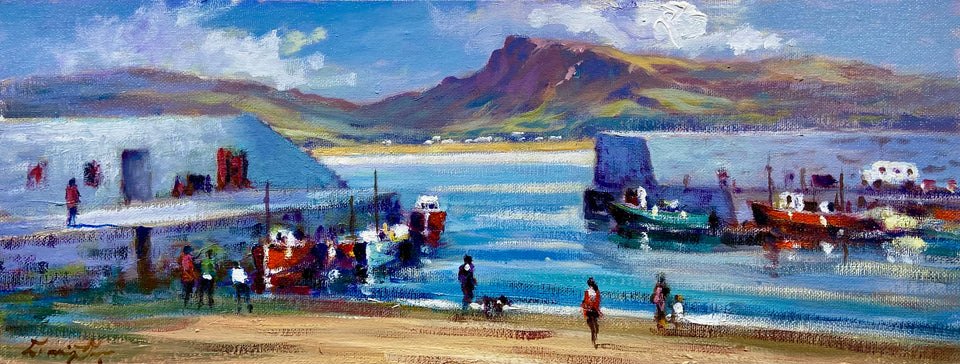 Harboured Boats, Mullaghmore, Co.Sligo.