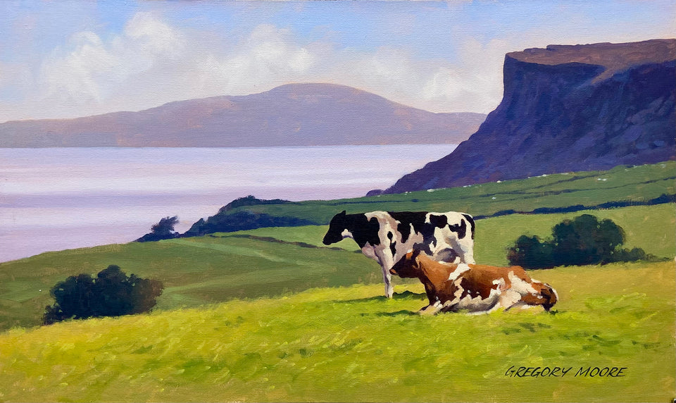 Cattle on Grass Near Fairhead, Ballycastle, Co.Antrim