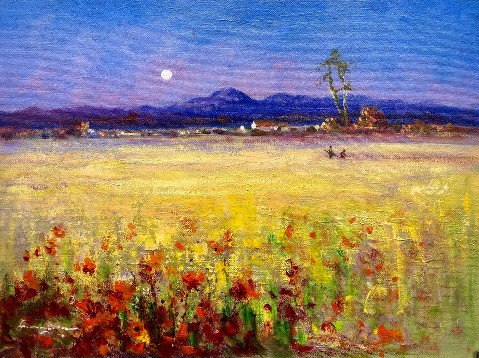 Harvest Time, Fields of Clough, Near The Mournes, Co.Down.