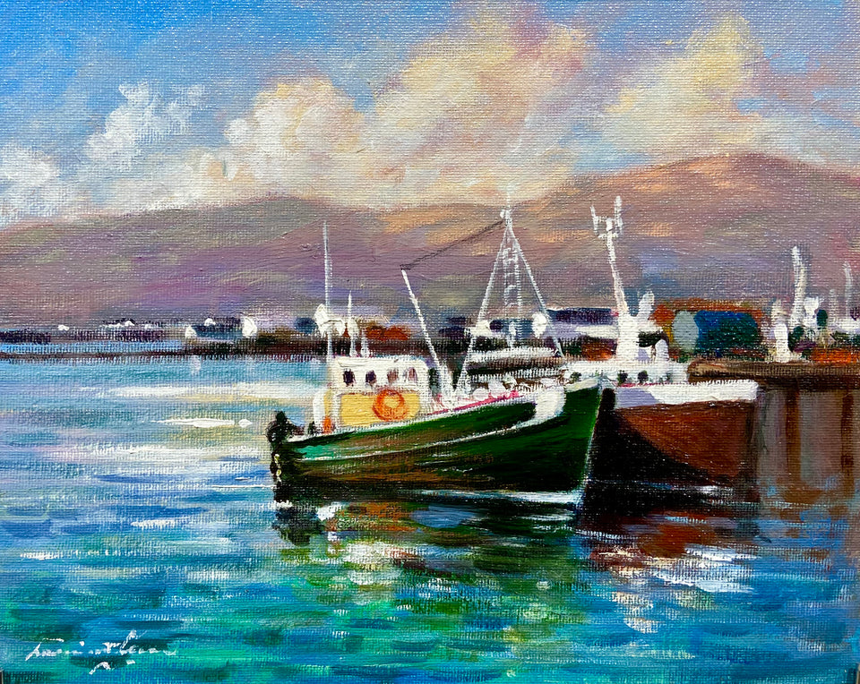 Harboured Trawlers, Bantry Bay, Co.Cork