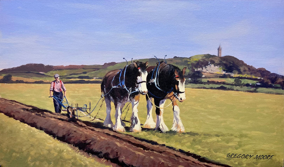 Horse Ploughing Near Scrabo Tower, Co.Down