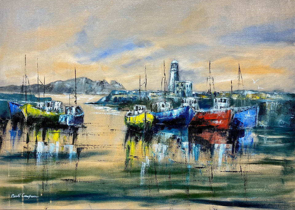Harboured Boats, Howth, Co.Dublin