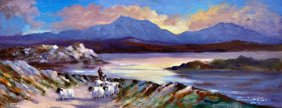 Rounding up the Flock, Near Dingle, Co.Kerry