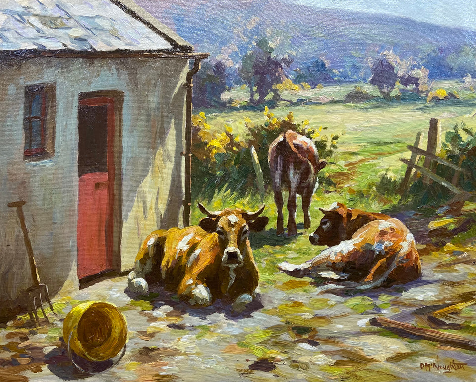Cattle Resting in the Farmyard