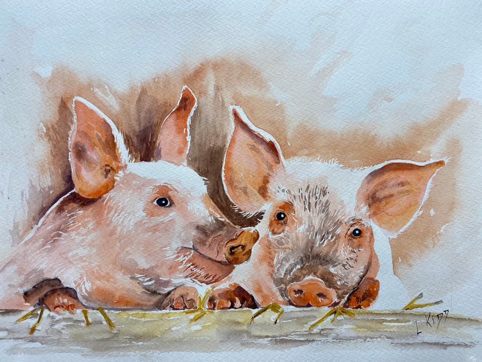 Curious Piglets