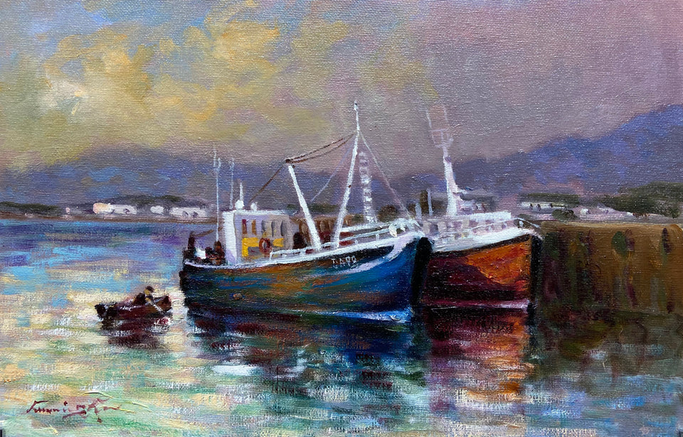 Harboured Boats, Co.Kerry