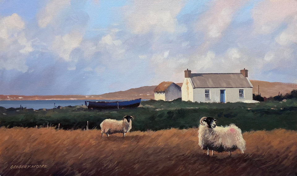 Sheep by The Island Homestead