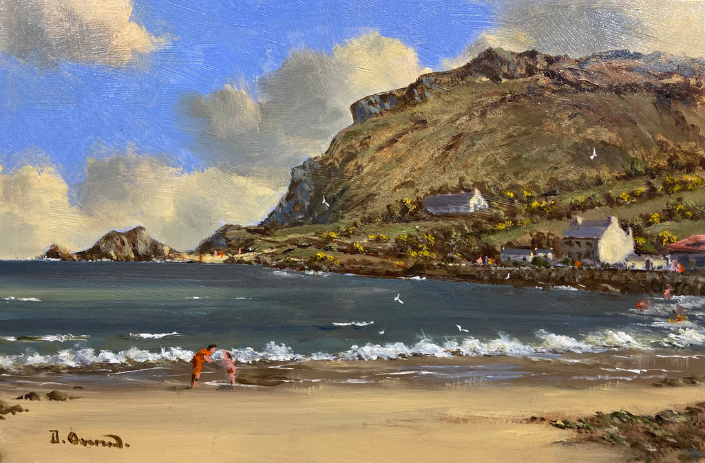 Summertime, Ballygally Head, Co.Antrim by David Overend – Irish Art Plus