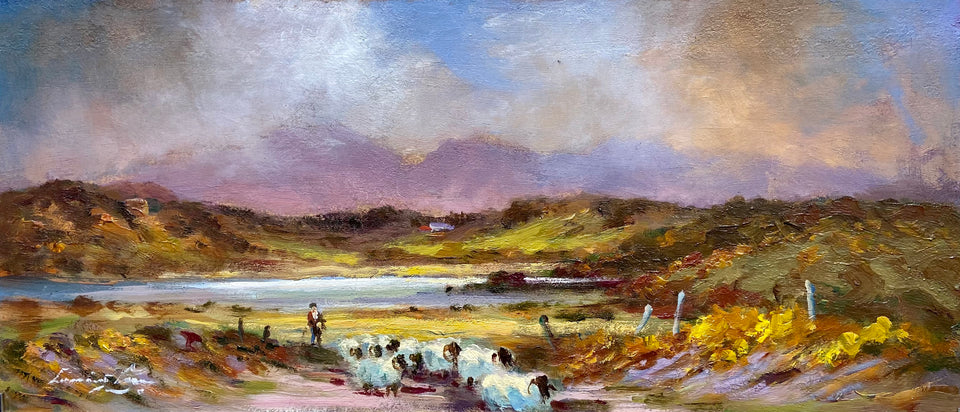 Driving Sheep, Ballyroney Lake, Co.Down