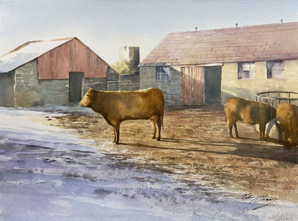 Cattle In The Farmyard Original Artwork