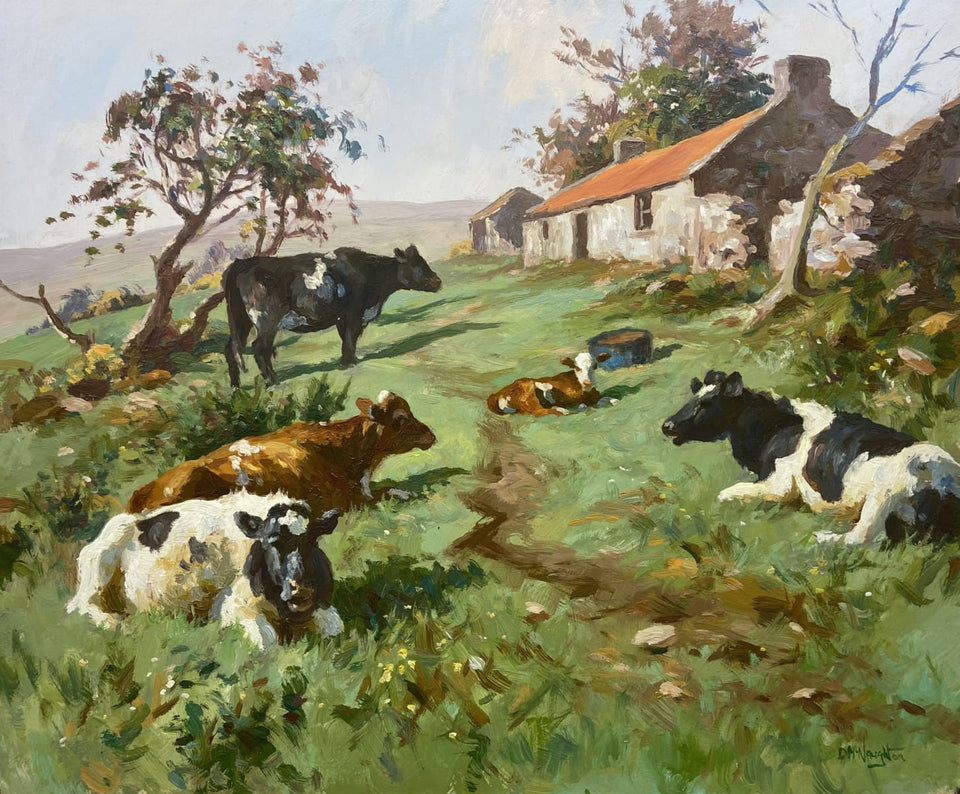 Cattle Resting In The Farmyard Original Artwork