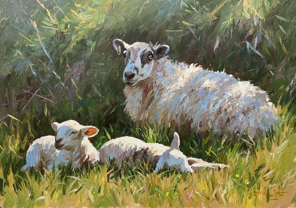 Ewe With Her Spring Lambs Original Artwork