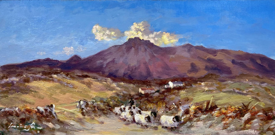 Moving Sheep In The Mournes Co.down Original Artwork