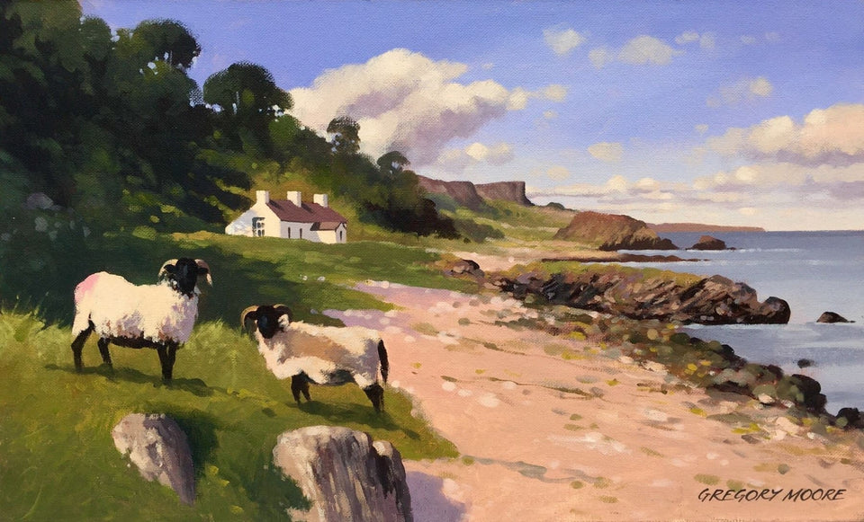 Sheep By Murlough Bay Co.antrim Original Artwork