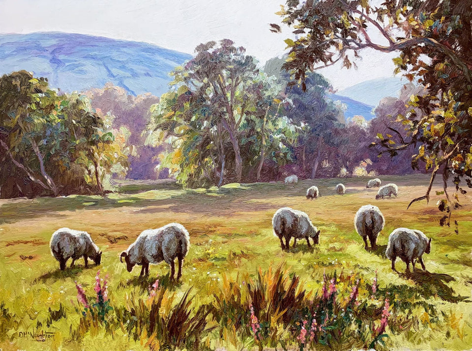 Sheep Grazing Near Knocklayde Co.antrim Original Artwork