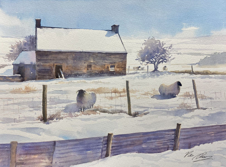 Sheep In Winter Original Artwork