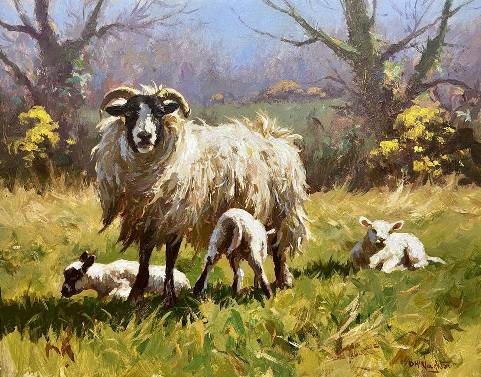 Sheep With Lambs Original Artwork